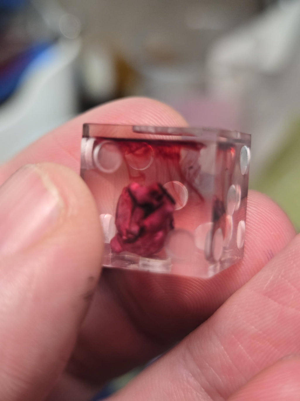 Custom Commission Lantern's Tavern Dice: Handmade Wargame Dice (12 D6s)