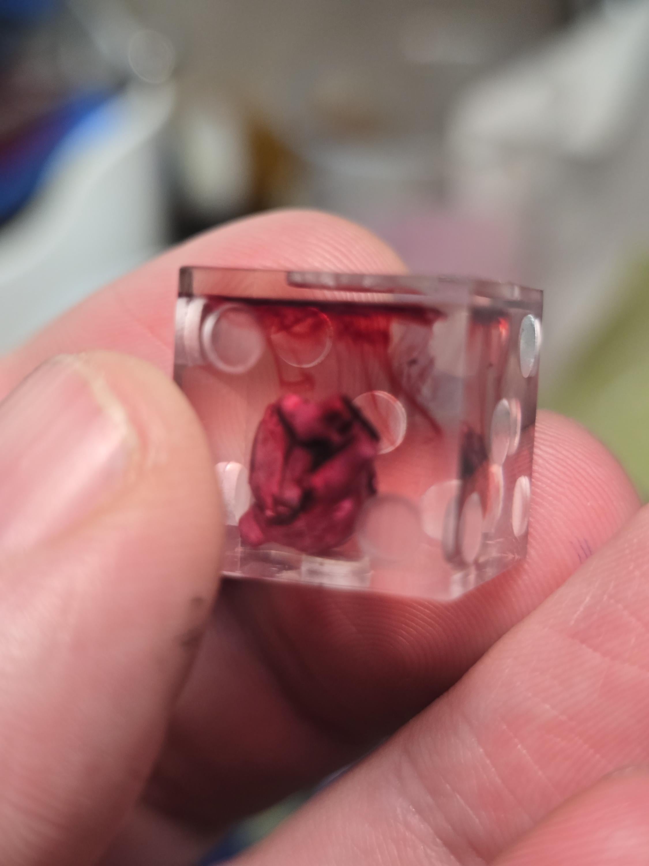Custom Commission Lantern's Tavern Dice: Handmade Wargame Dice (12 D6s)